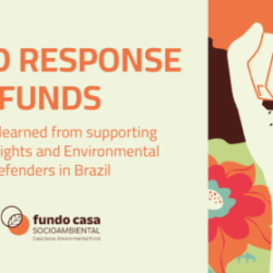 EDGEy Wednesday: Increasing availability of resources for Environmental Defenders: lessons learned from a collaborative Rapid Response práxis